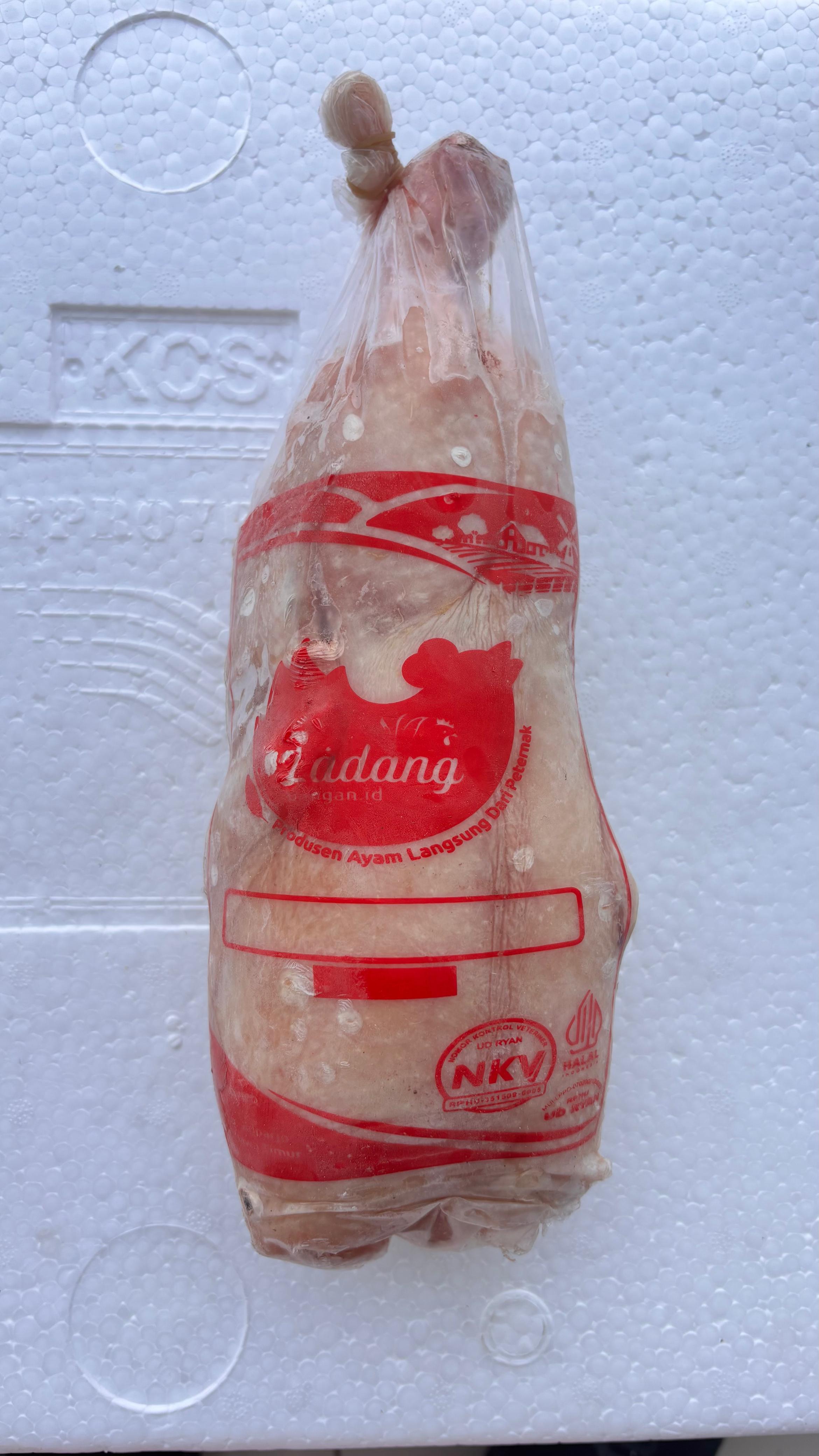 Beli, Bayar, Terima — Ayam Frozen Tanpa Ribet